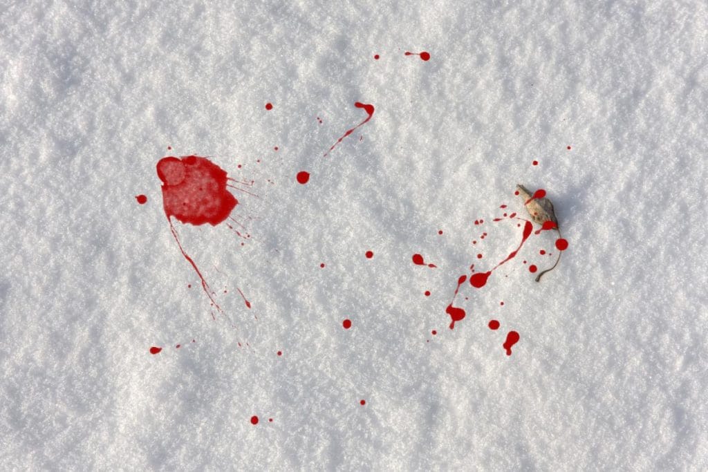 anatomia de uma queda: capa