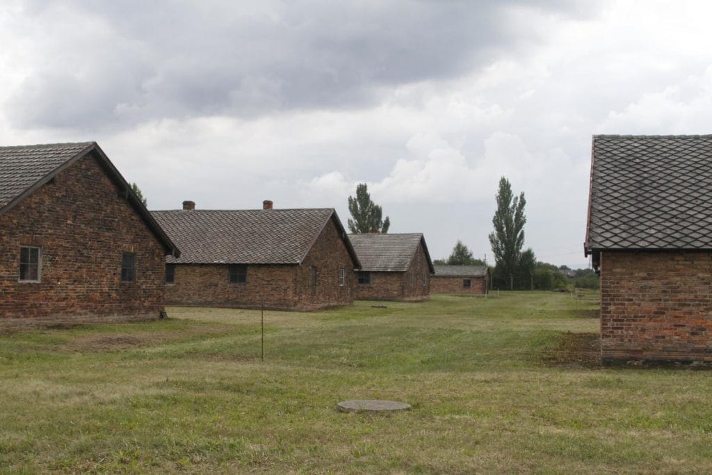 zona de interesse (capa)